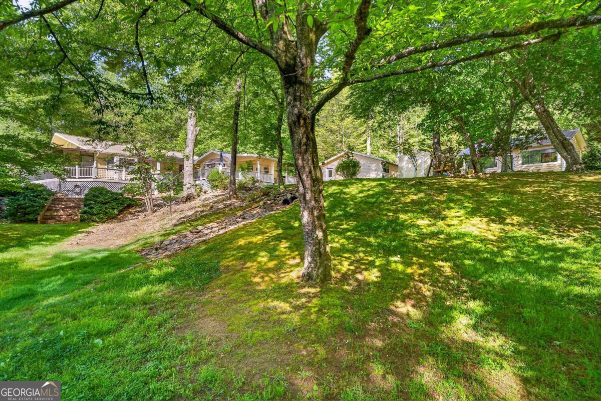 401 Mountain Rivers Road Mineral Bluff GA 30559