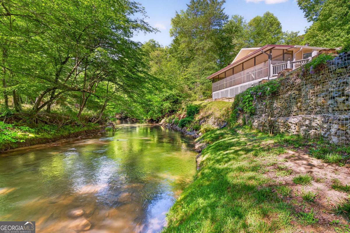 401 Mountain Rivers Road Mineral Bluff GA 30559