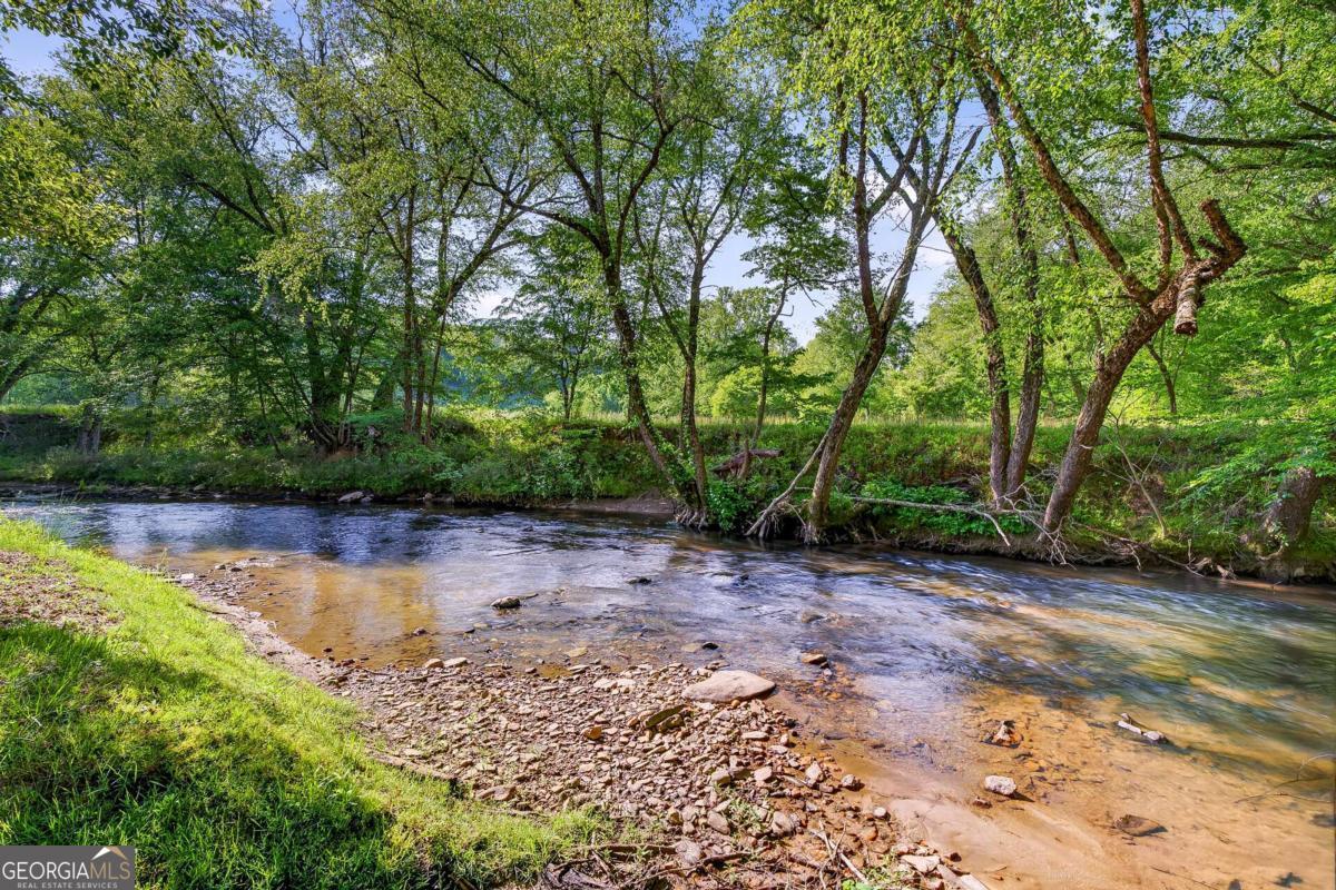 401 Mountain Rivers Road Mineral Bluff GA 30559