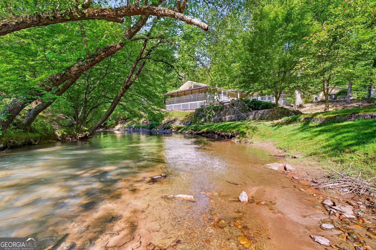 401 Mountain Rivers Road Mineral Bluff GA 30559