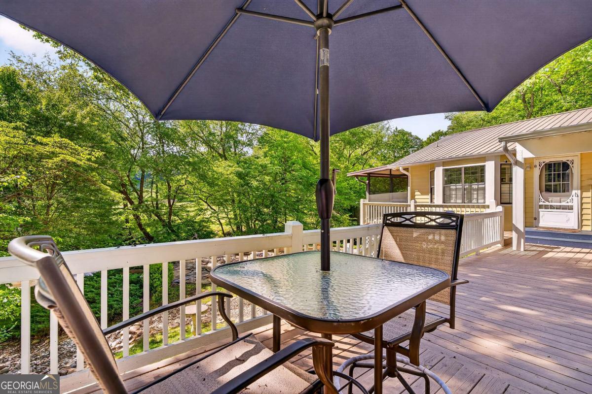 401 Mountain Rivers Road Mineral Bluff GA 30559