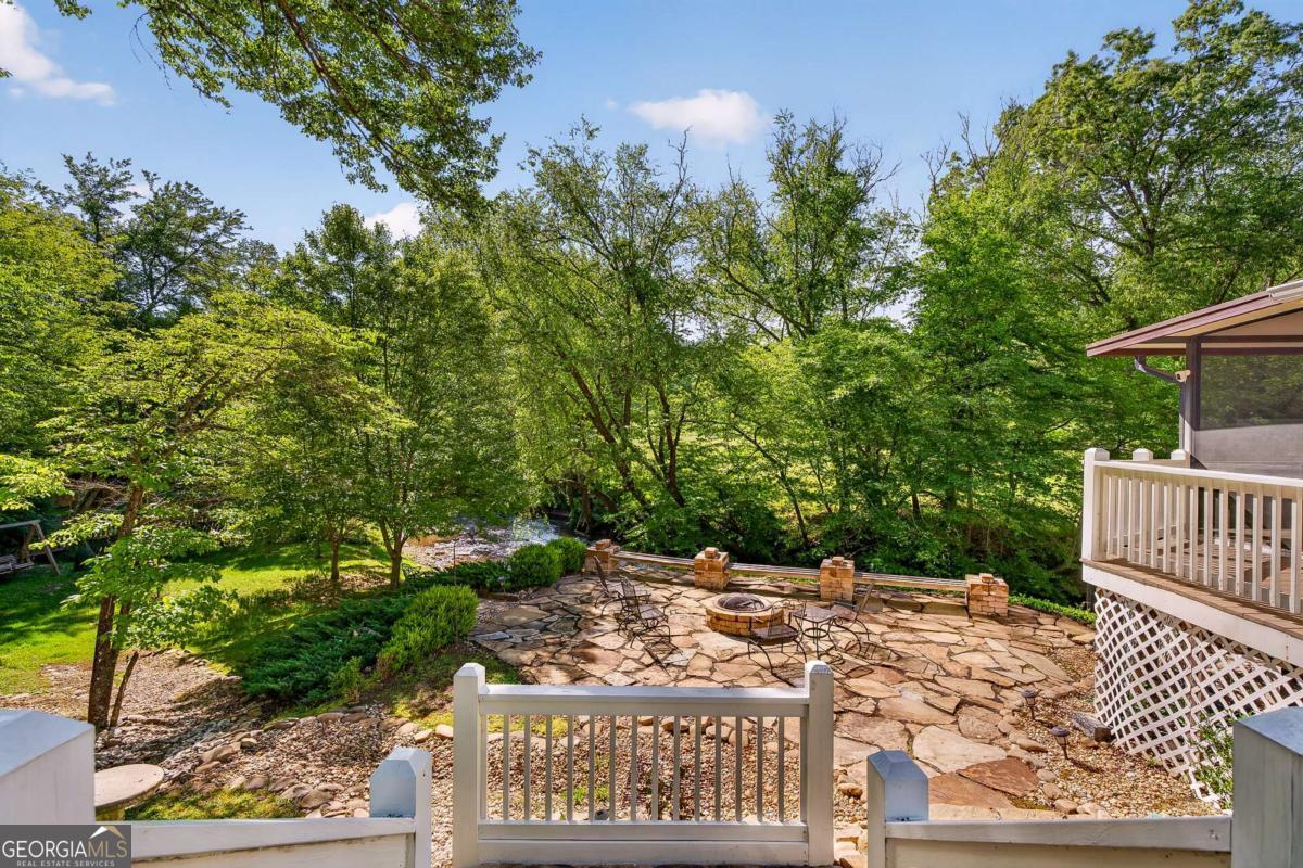 401 Mountain Rivers Road Mineral Bluff GA 30559
