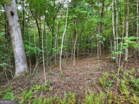 185 Pine Lane Mineral Bluff GA 30559