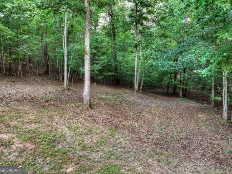 185 Pine Lane Mineral Bluff GA 30559