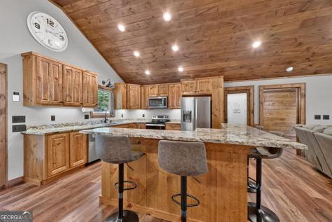 185 Pine Lane Mineral Bluff GA 30559