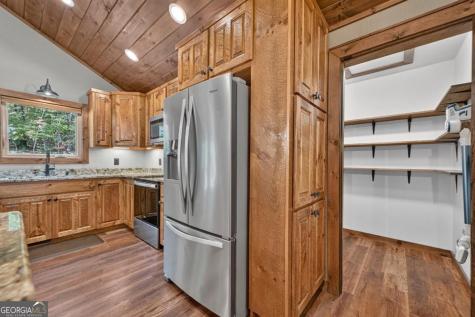 185 Pine Lane Mineral Bluff GA 30559