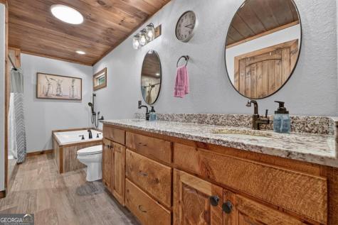 185 Pine Lane Mineral Bluff GA 30559