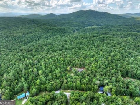 185 Pine Lane Mineral Bluff GA 30559