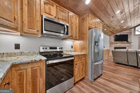 185 Pine Lane Mineral Bluff GA 30559