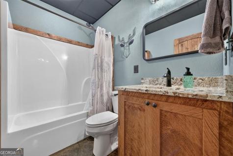 185 Pine Lane Mineral Bluff GA 30559