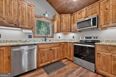 185 Pine Lane Mineral Bluff GA 30559