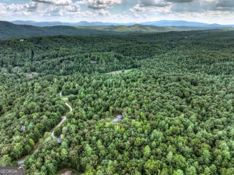 185 Pine Lane Mineral Bluff GA 30559