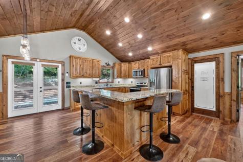 185 Pine Lane Mineral Bluff GA 30559