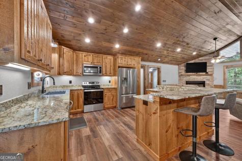 185 Pine Lane Mineral Bluff GA 30559