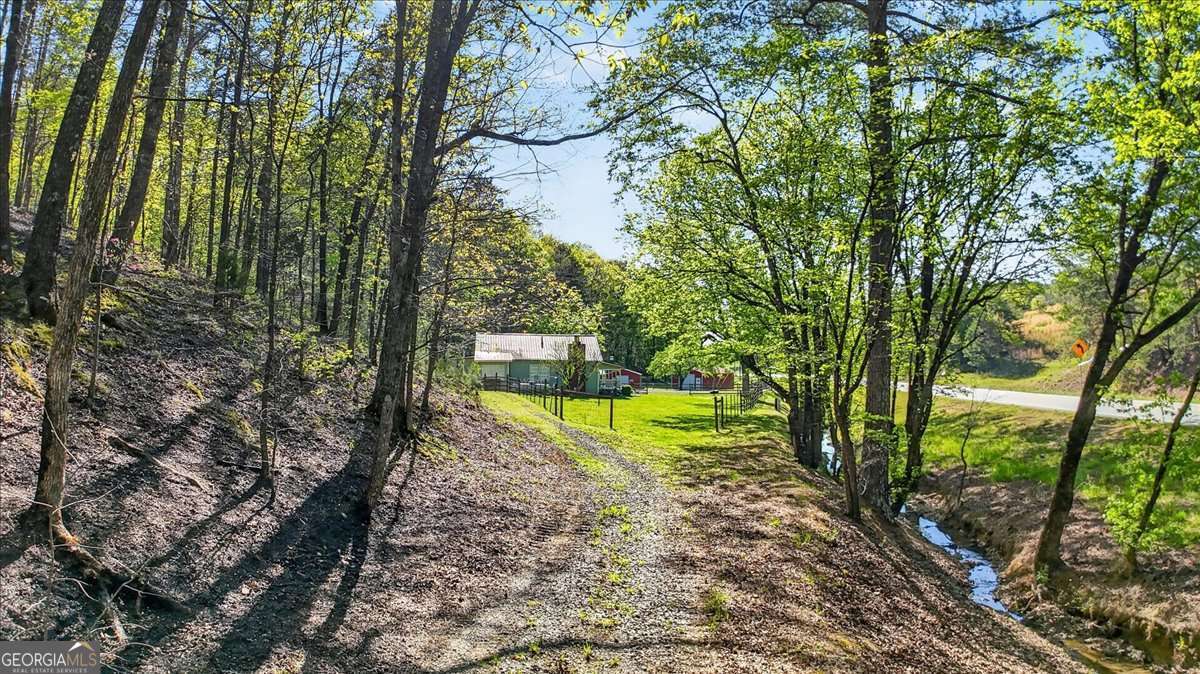 7433 Nicklesville Road NE Ranger GA 30734