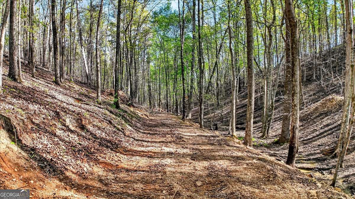 7433 Nicklesville Road NE Ranger GA 30734