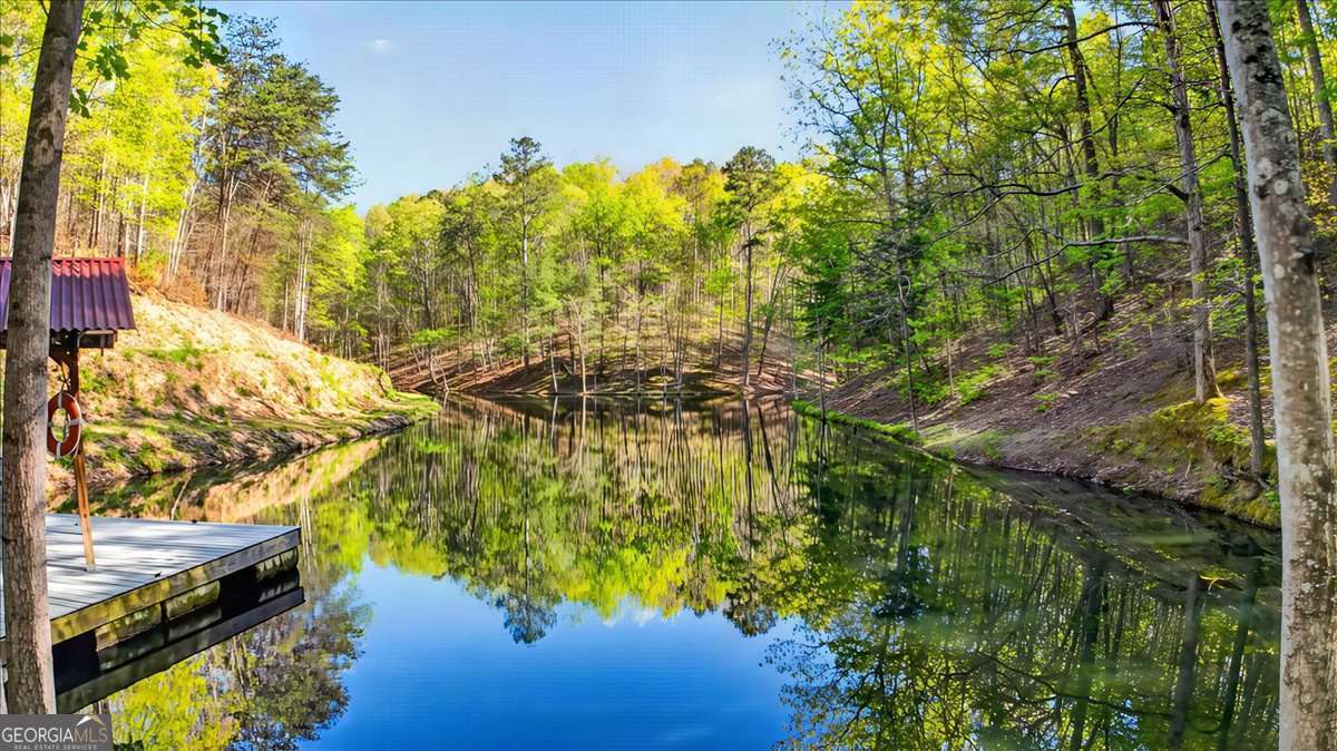 7433 Nicklesville Road NE Ranger GA 30734