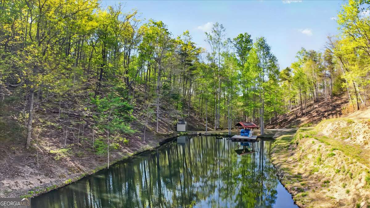 7433 Nicklesville Road NE Ranger GA 30734