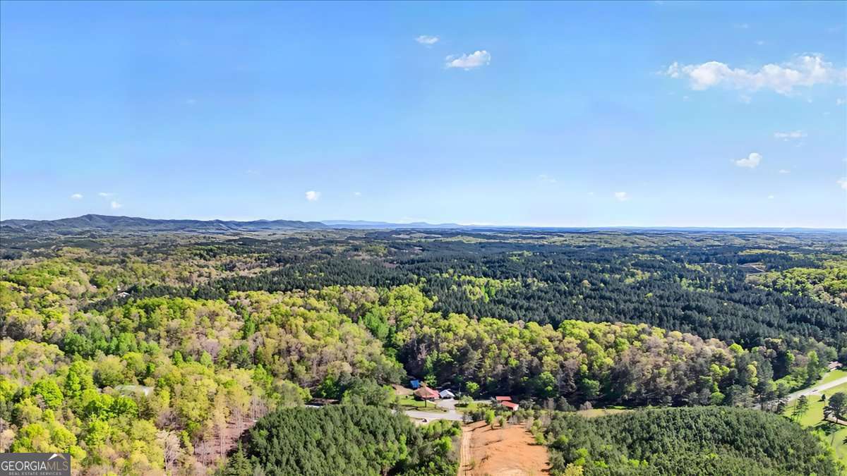 7433 Nicklesville Road NE Ranger GA 30734