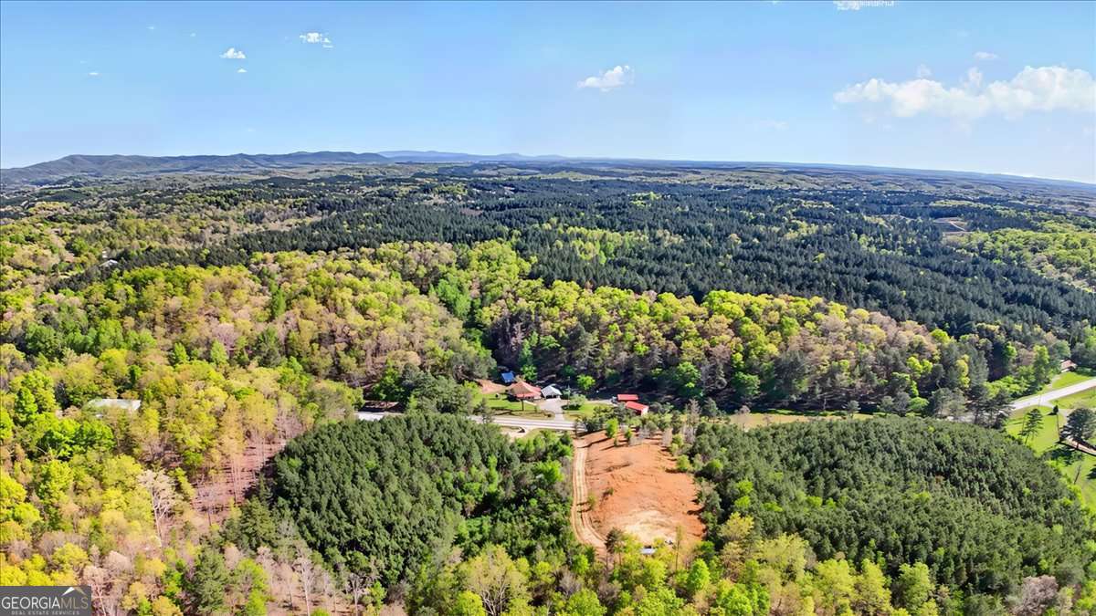 7433 Nicklesville Road NE Ranger GA 30734