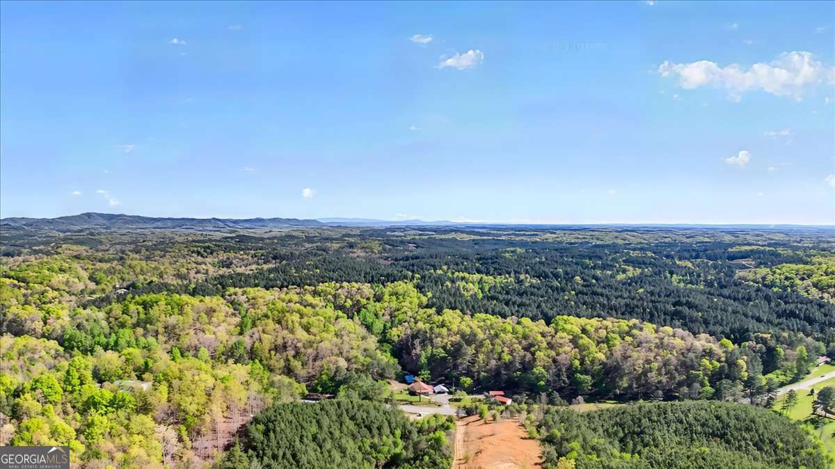 7433 Nicklesville Road NE Ranger GA 30734
