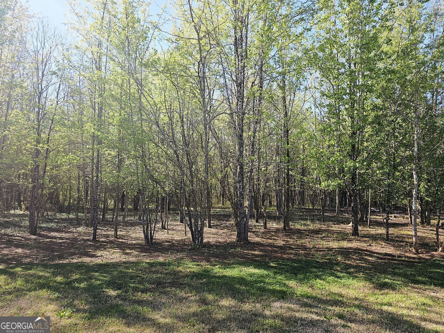 1148 Burgundy Drive Griffin GA 30223