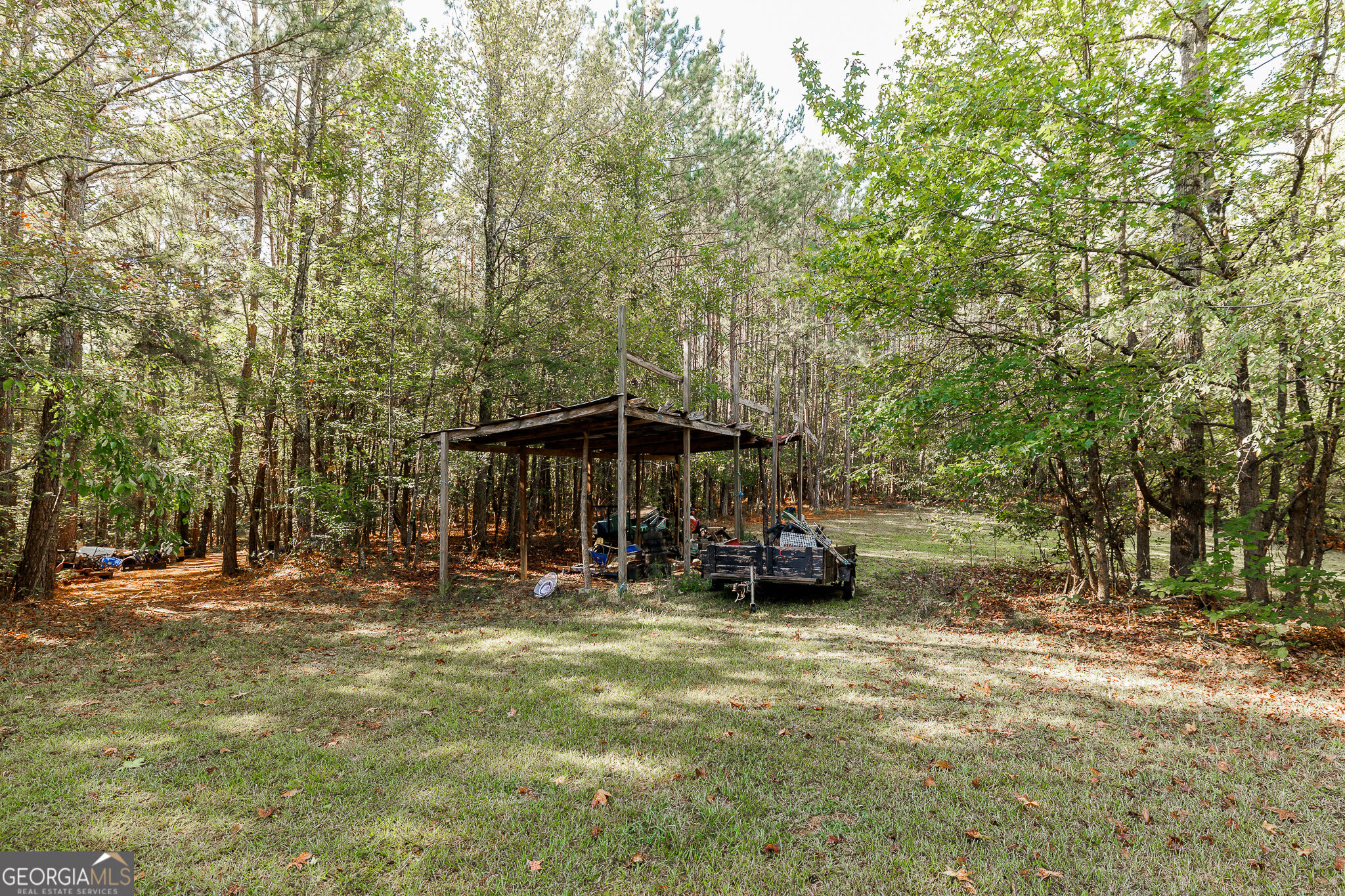606 Berkeley Road Carlton GA 30627