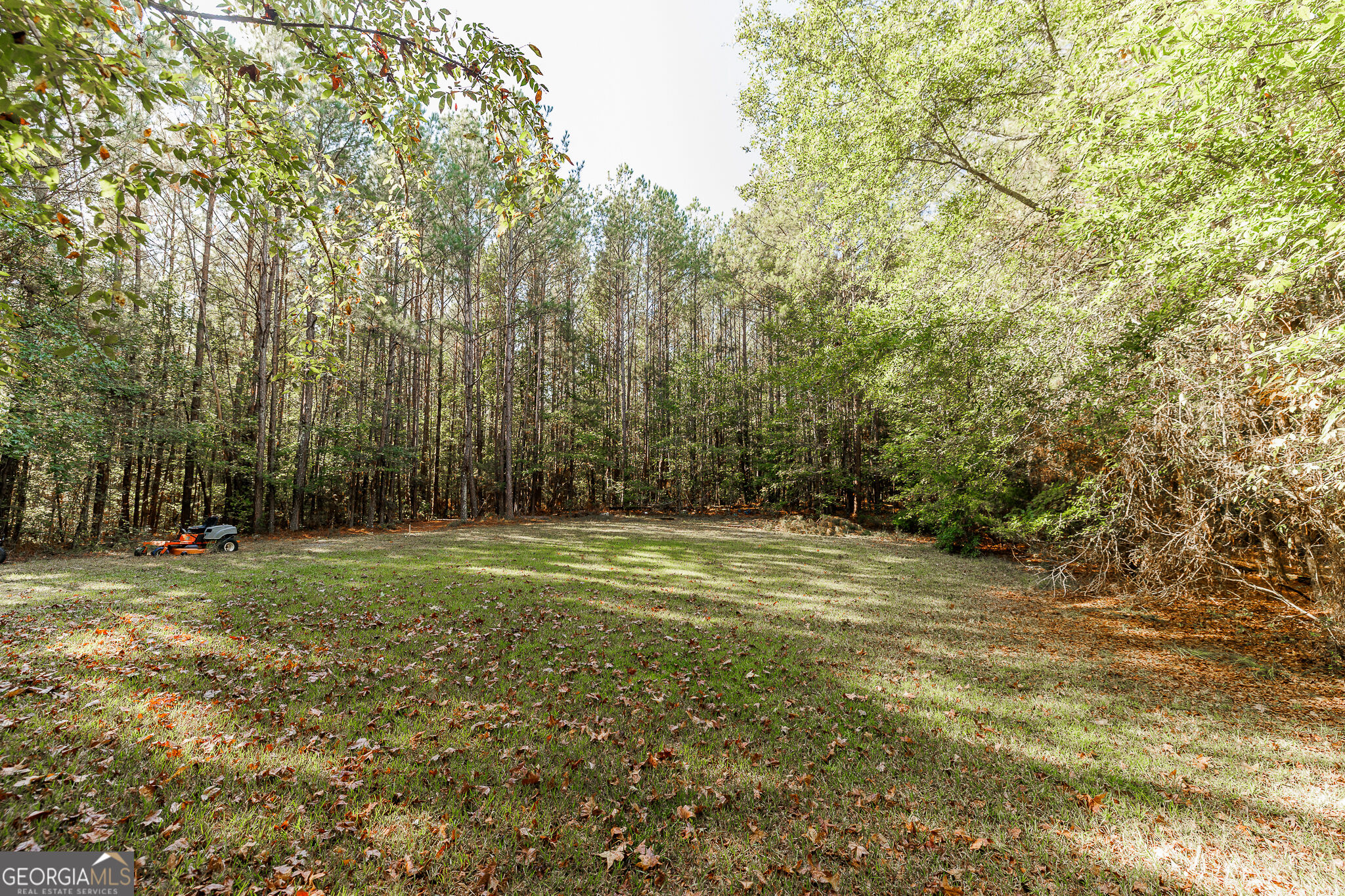 606 Berkeley Road Carlton GA 30627