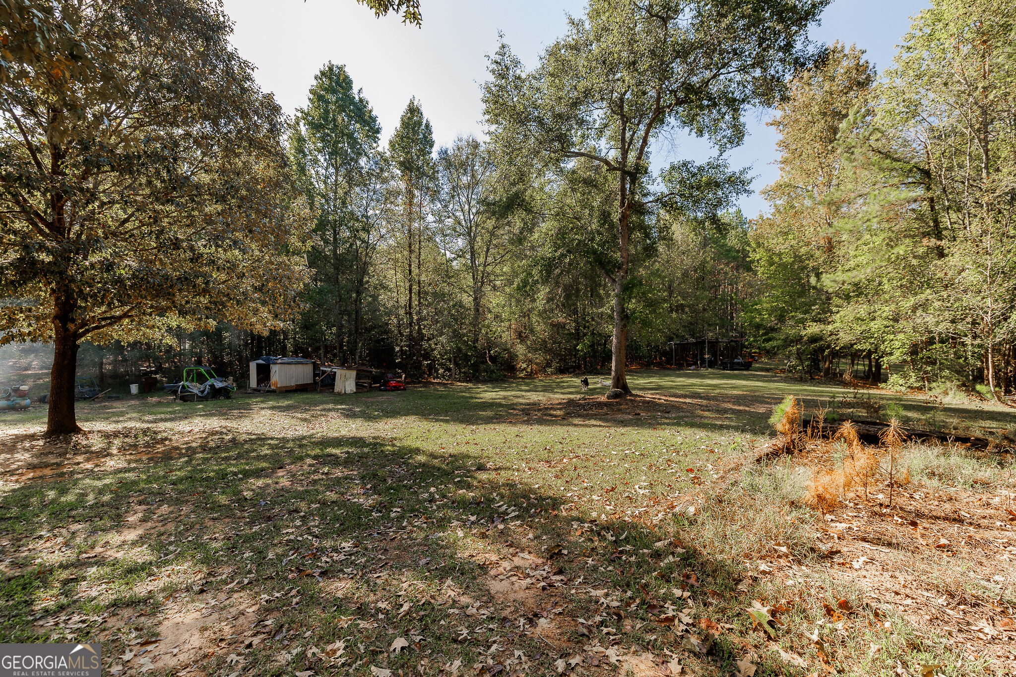 606 Berkeley Road Carlton GA 30627