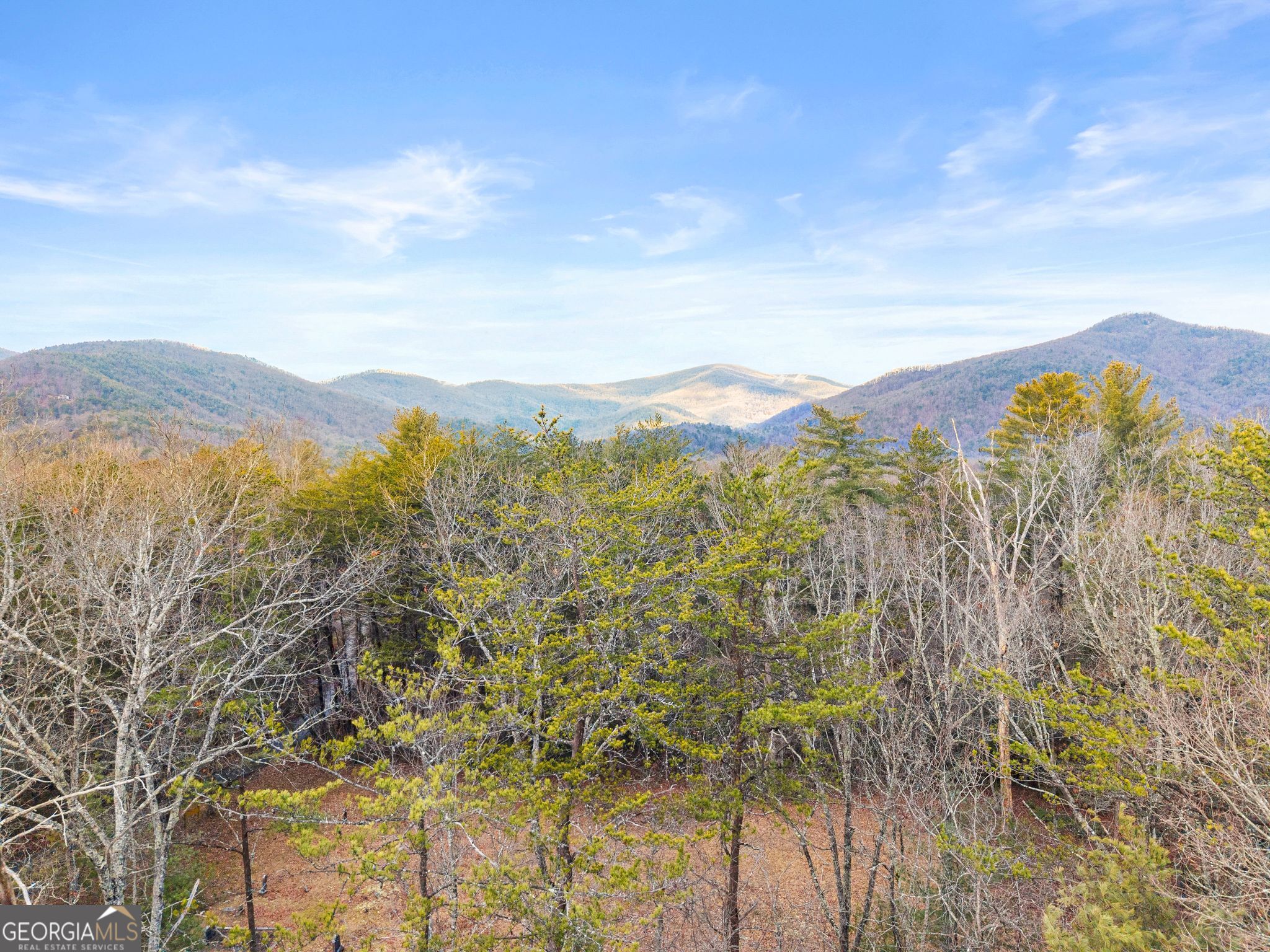 3 Ramblewood Drive Sautee Nacoochee GA 30571