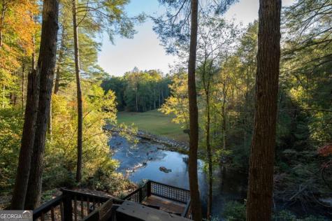 35 Dogwood Riverside Drive Blue Ridge GA 30513