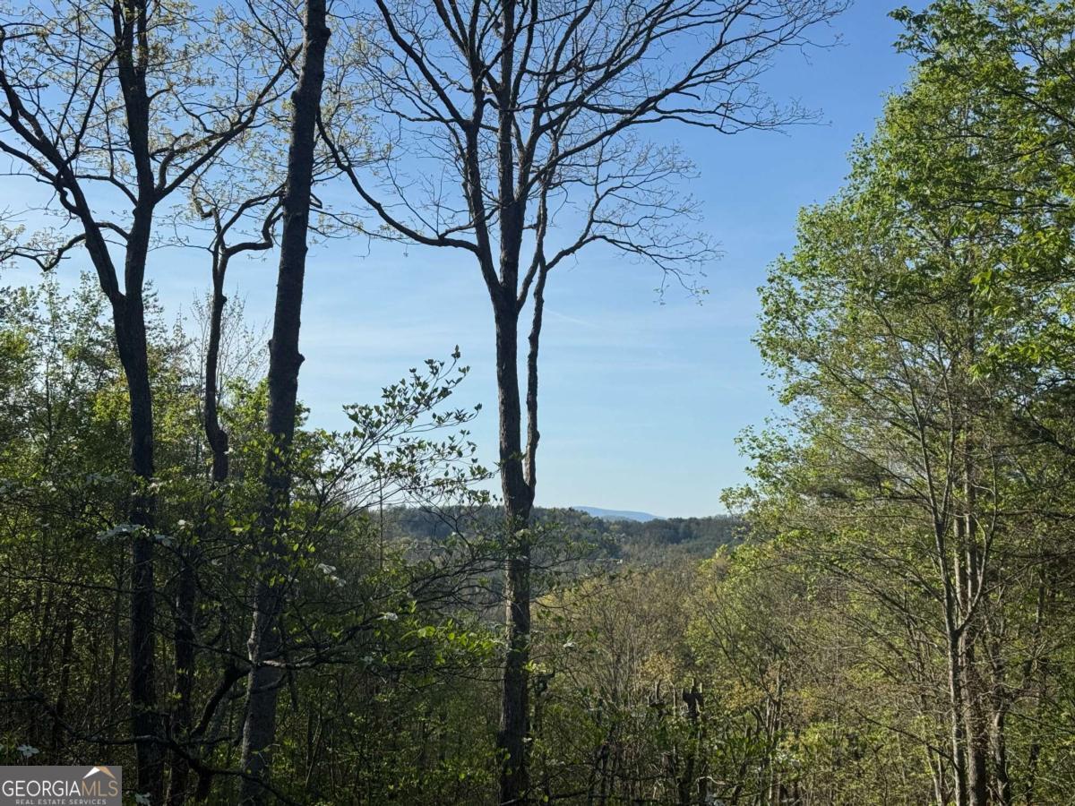 1600 My Mountain Road Morganton GA 30560