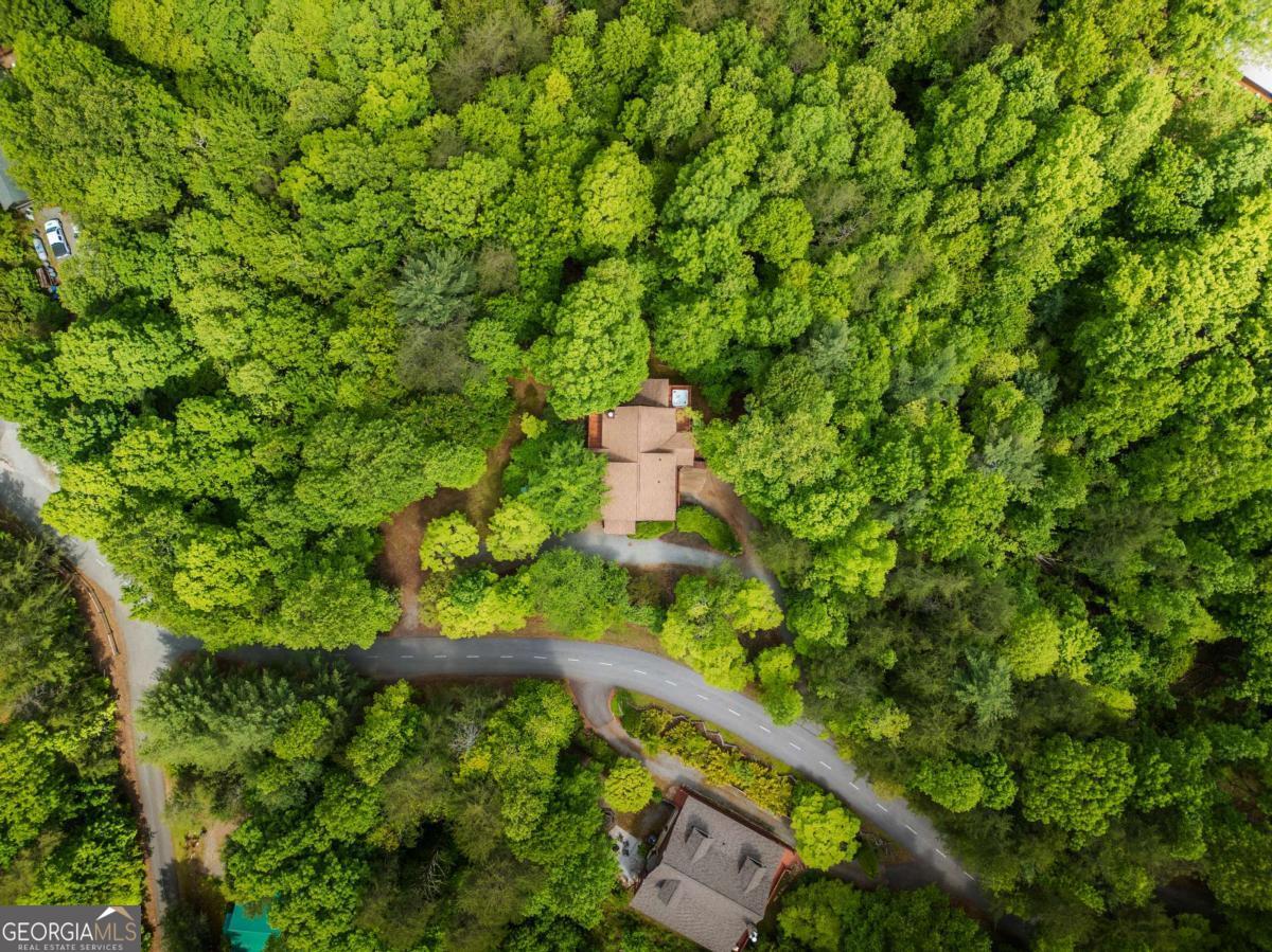 1600 My Mountain Road Morganton GA 30560