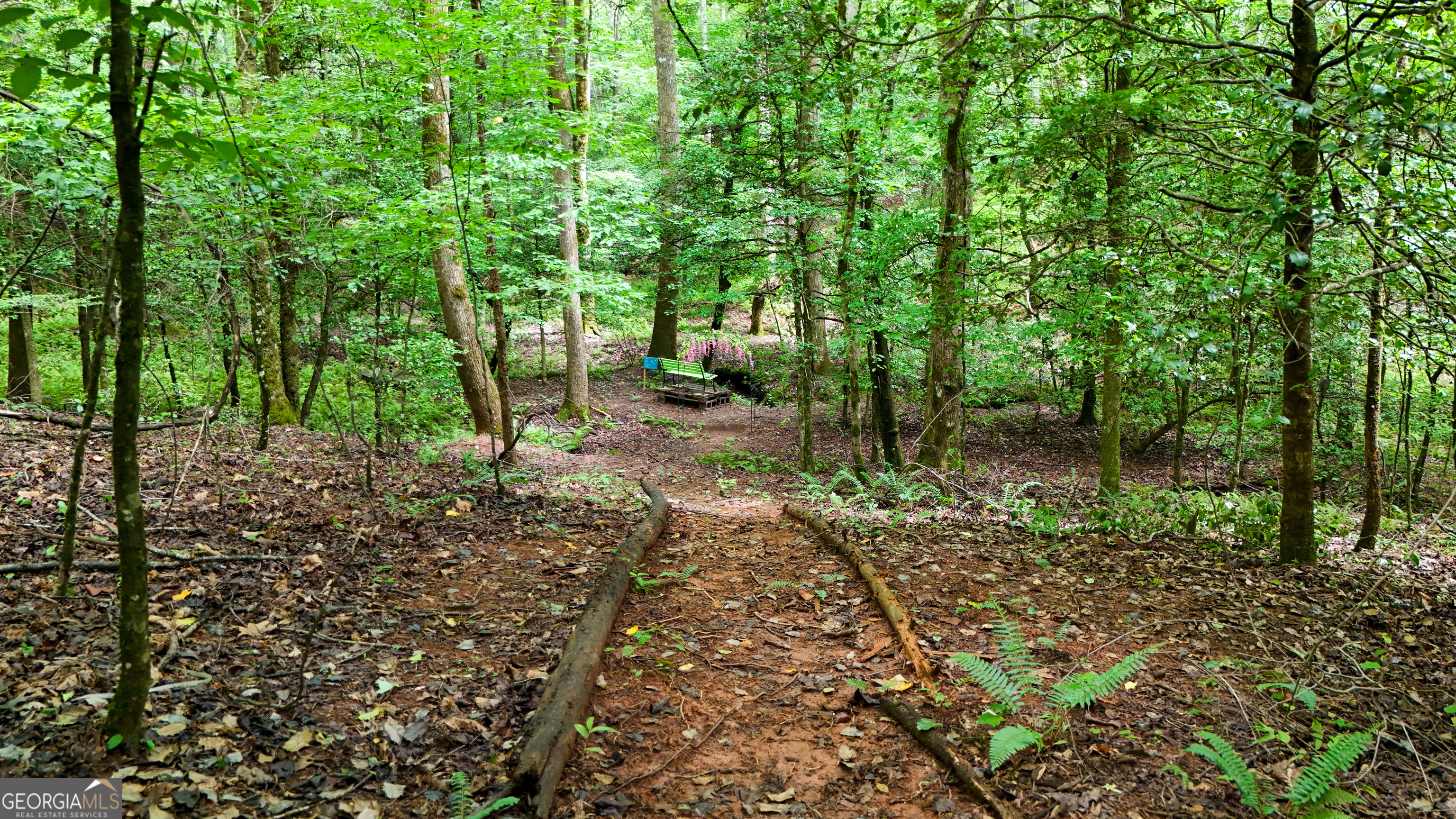 141 Cady Lane Cleveland GA 30528