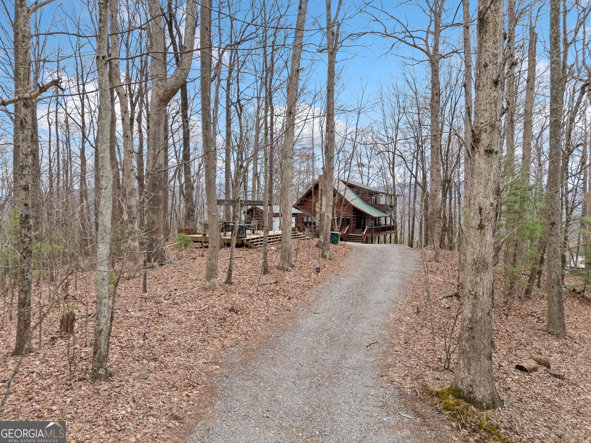 541 Little Bushy Head Road Cherry Log GA 30522