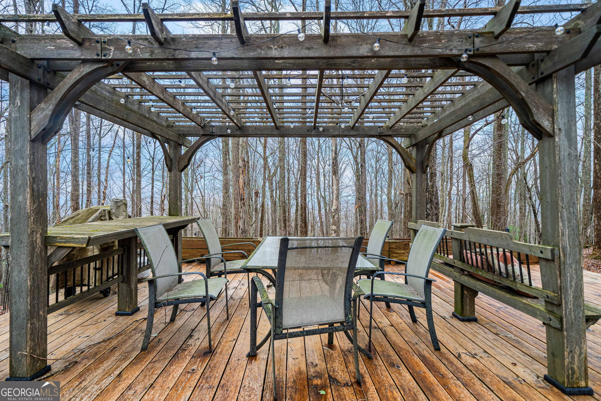 541 Little Bushy Head Road Cherry Log GA 30522
