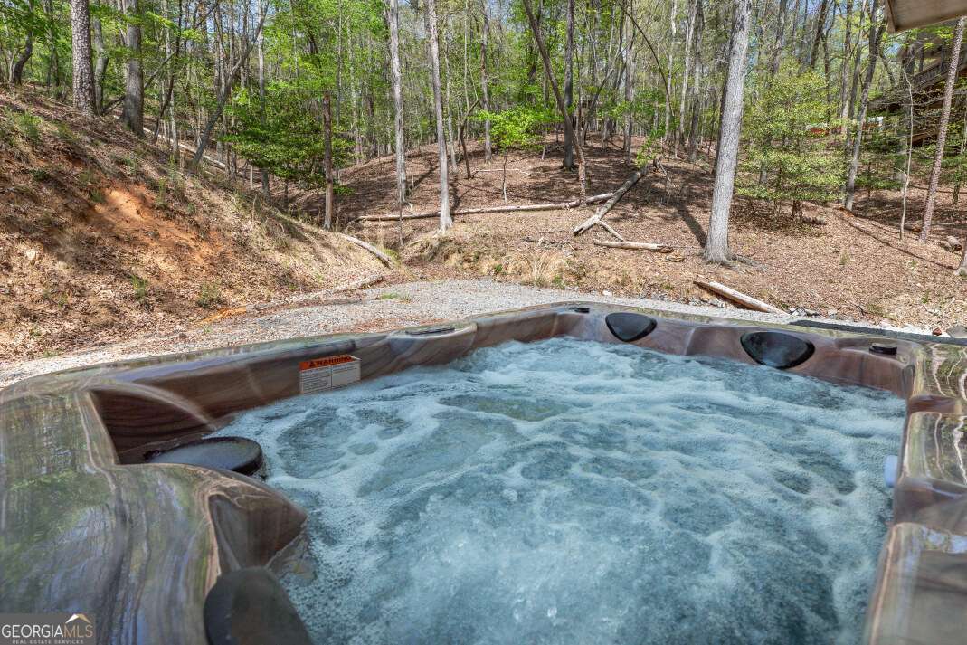 164 Echo Lane Ellijay GA 30540