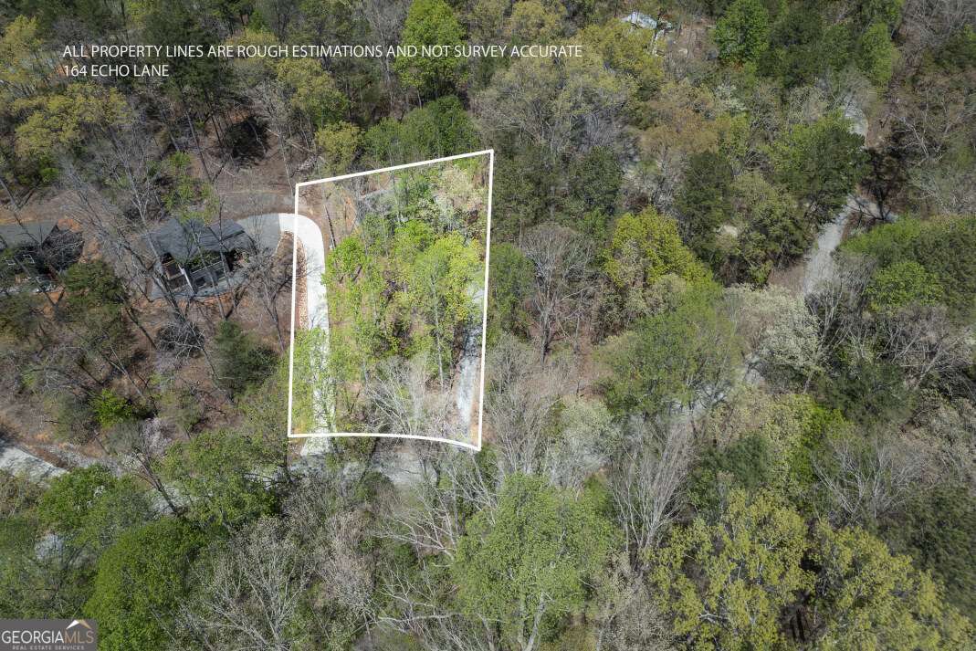 164 Echo Lane Ellijay GA 30540