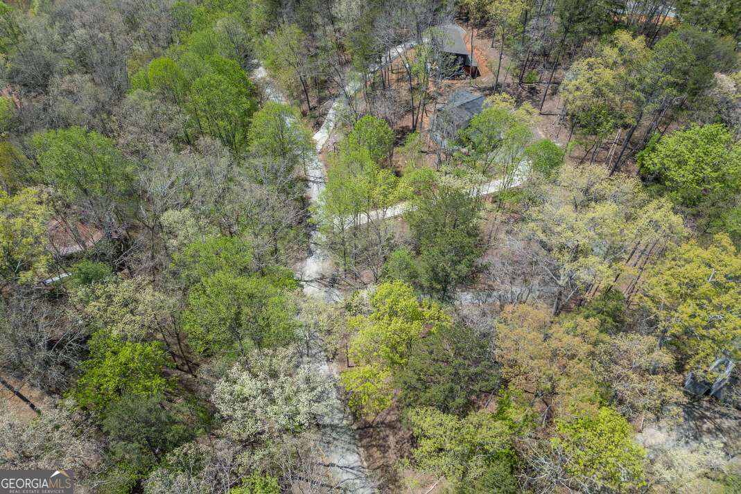 164 Echo Lane Ellijay GA 30540