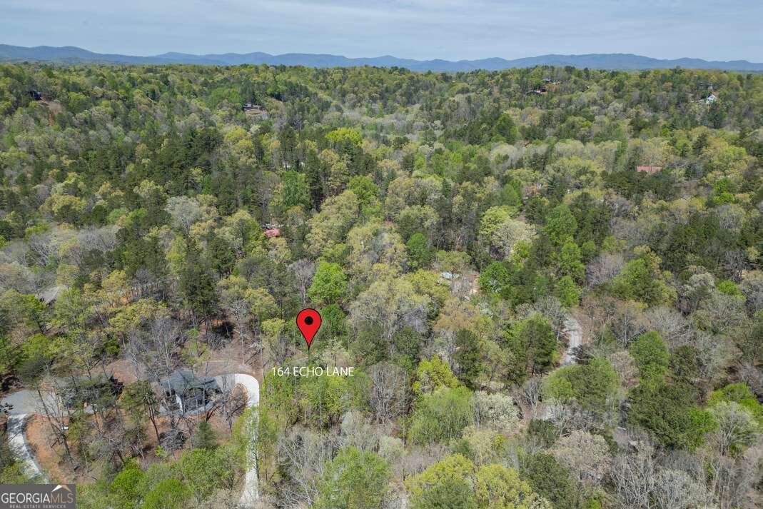 164 Echo Lane Ellijay GA 30540