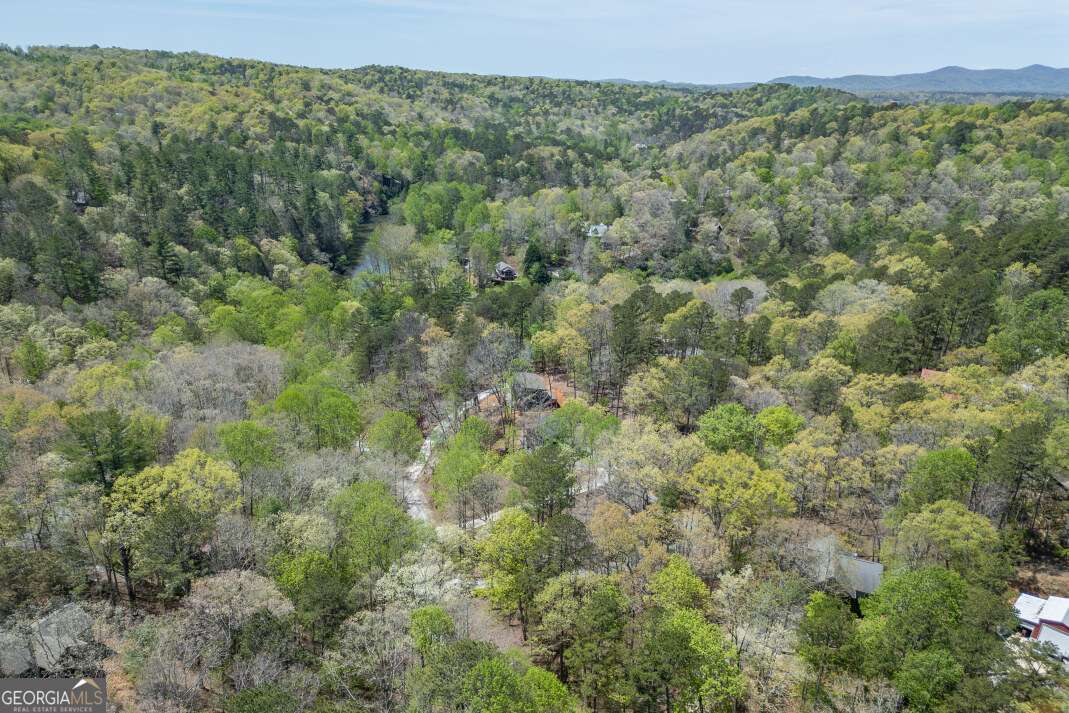 164 Echo Lane Ellijay GA 30540