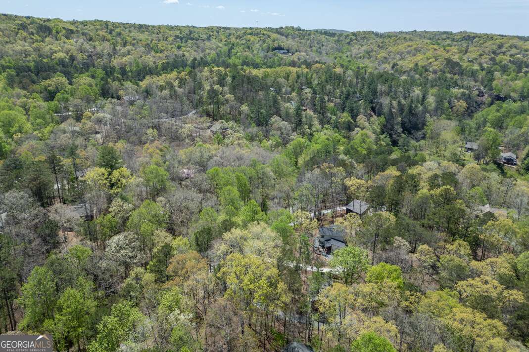 164 Echo Lane Ellijay GA 30540