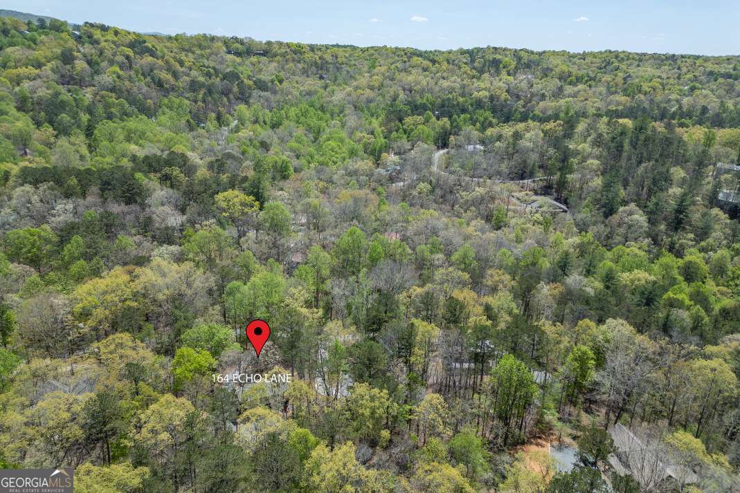 164 Echo Lane Ellijay GA 30540
