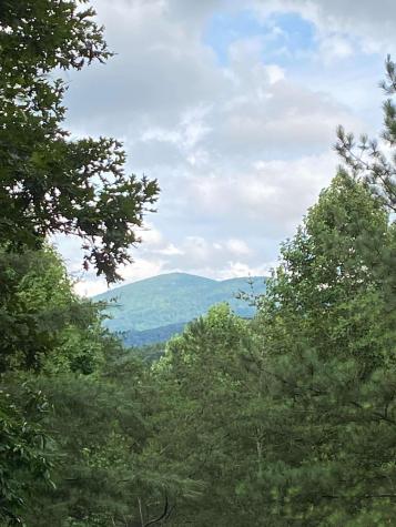 659 Whispering Pine Lane Cherry Log GA 30522