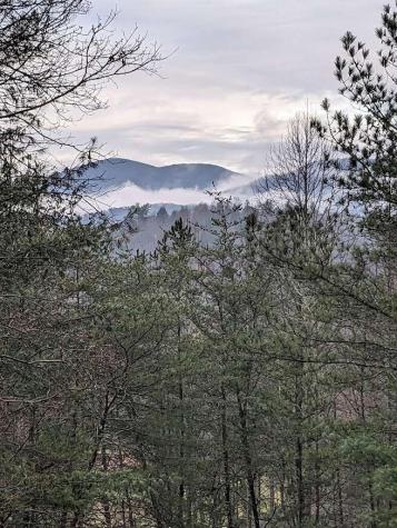 659 Whispering Pine Lane Cherry Log GA 30522