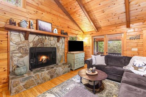 659 Whispering Pine Lane Cherry Log GA 30522