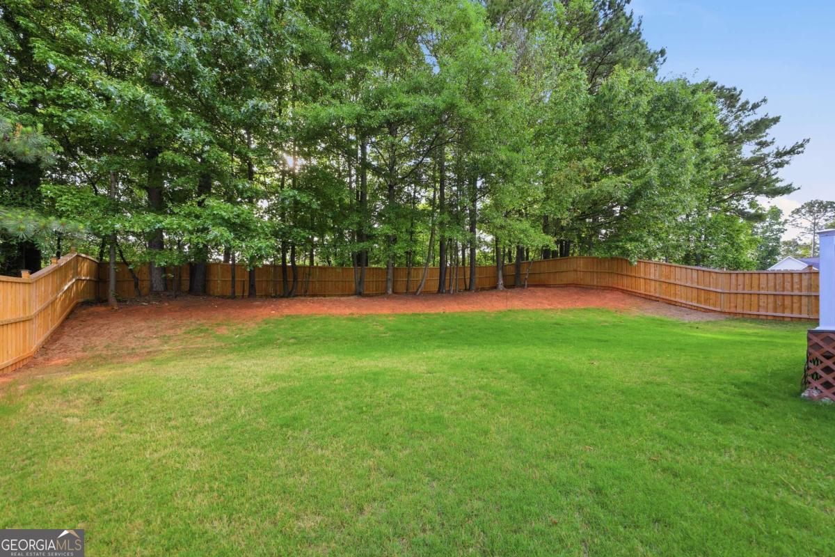 1203 Big Tree Pte Villa Rica GA 30180