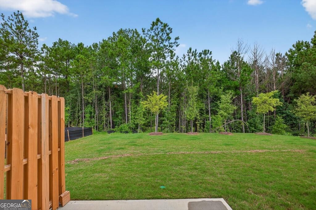 120 Hazel Drive Mcdonough GA 30253
