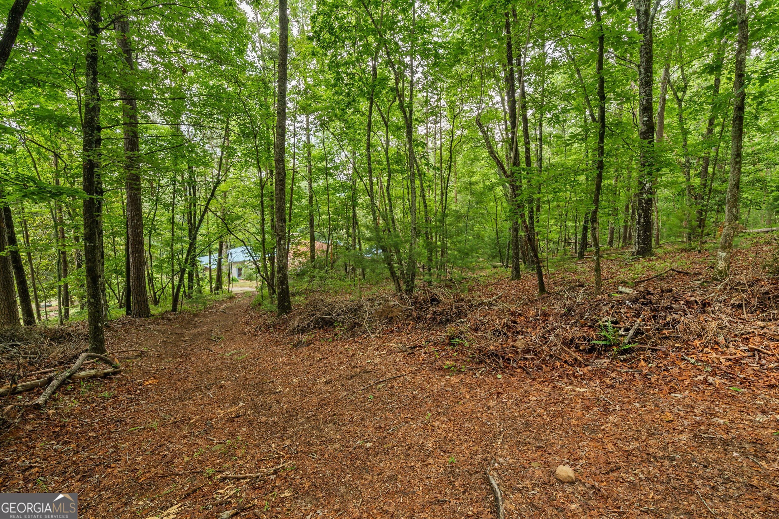 63 + 84 Loudermilk Lane Lakemont GA 30552
