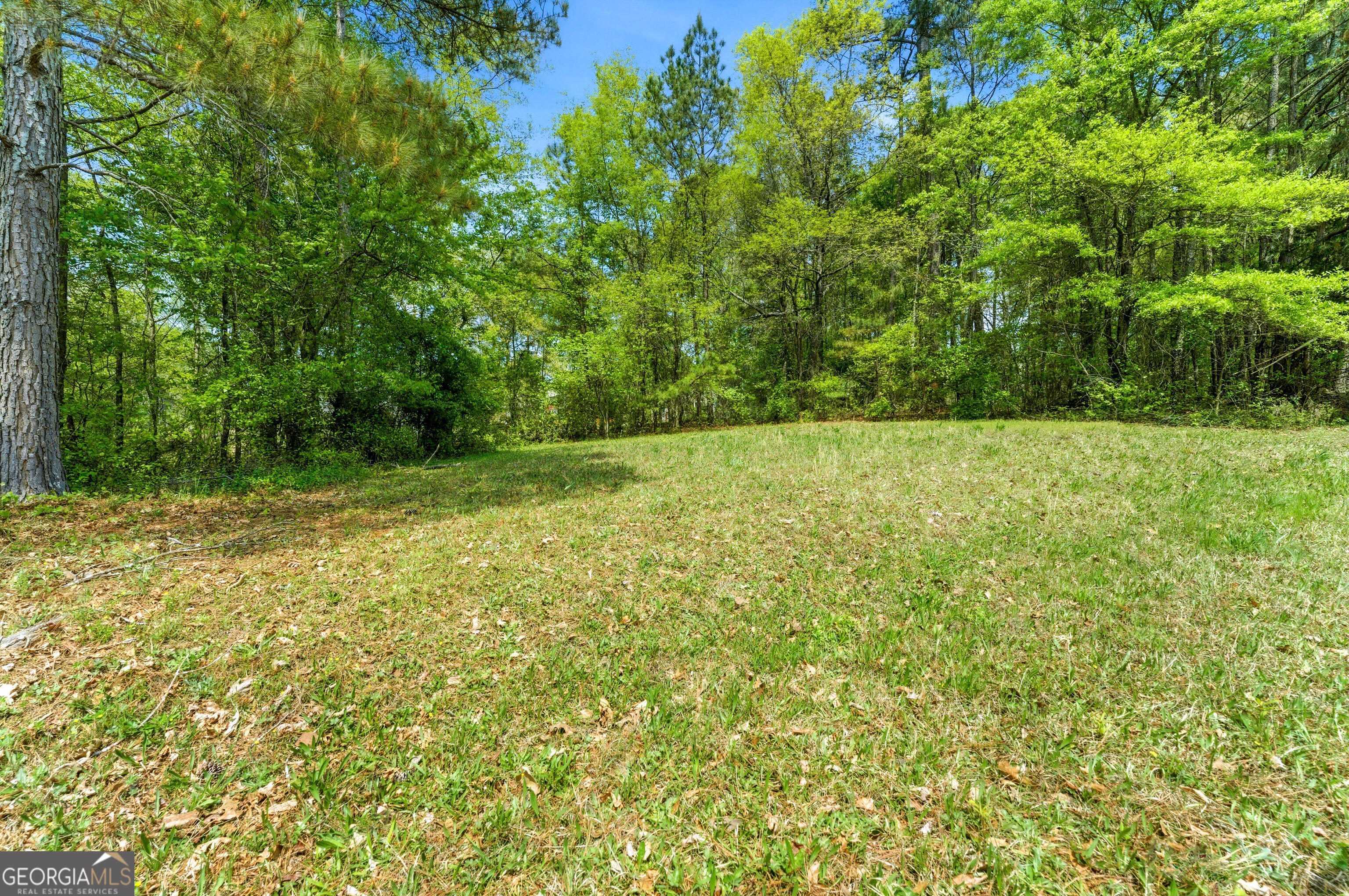 3750 Biltmore Oaks Drive SE Bethlehem GA 30620